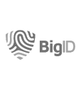 BigID